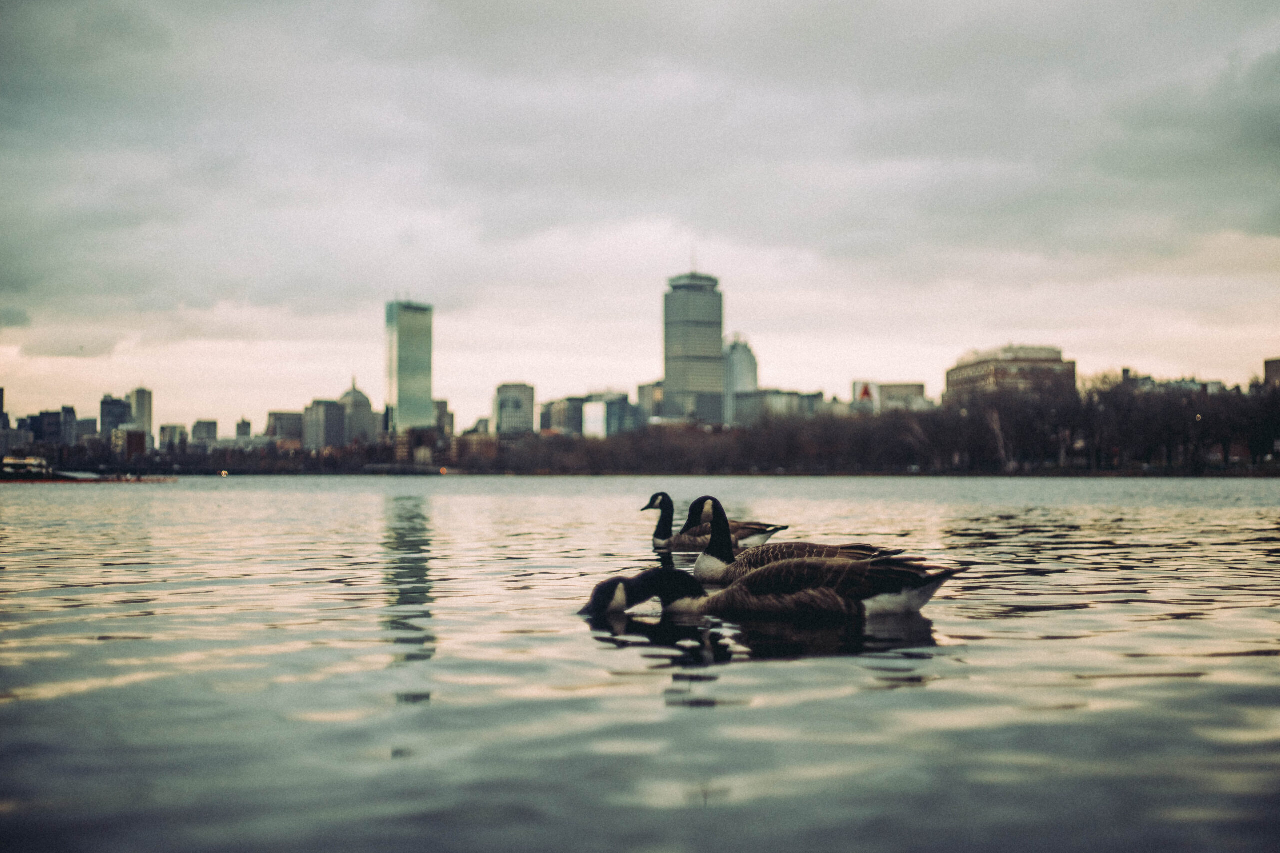 Micro Wins, Mega Momentum: Celebrating Small Steps Toward Big Goals