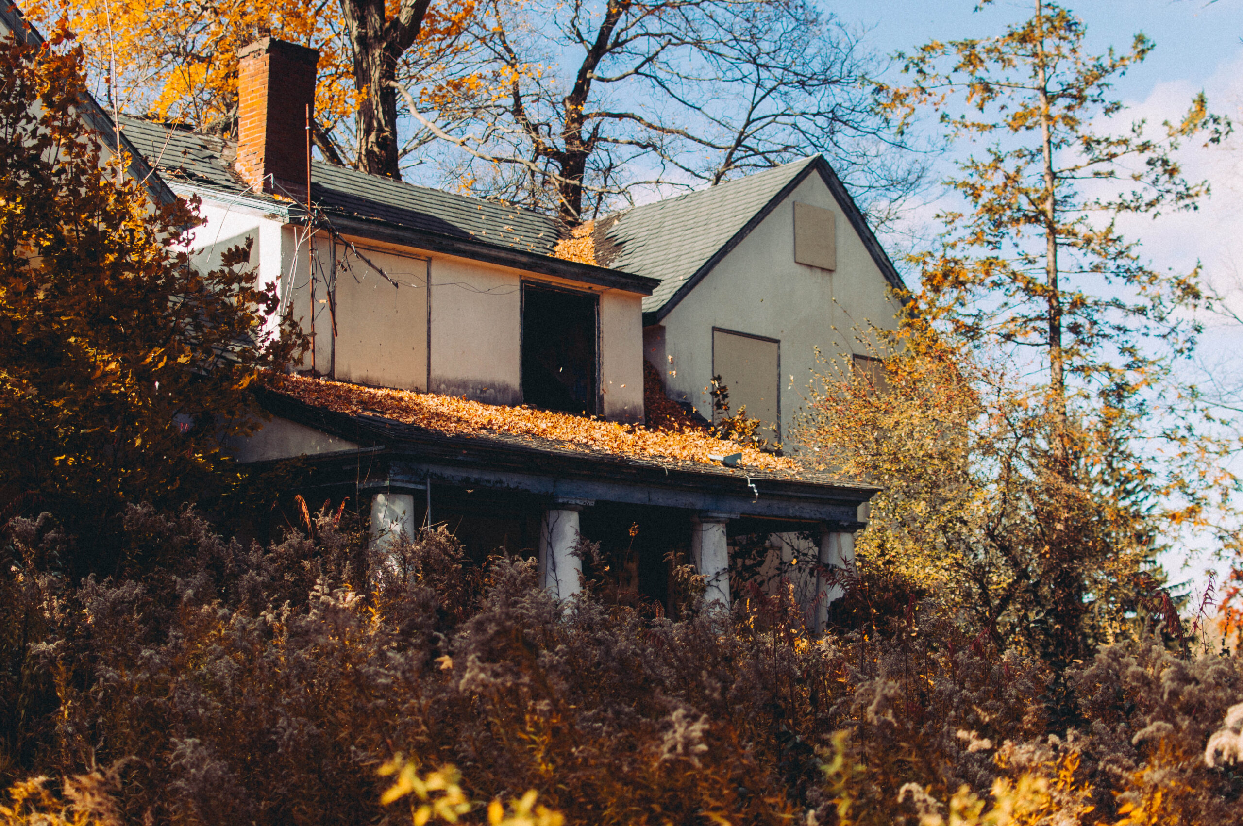 Finding Home in Silence: The Art of Solitude in Nature and Abandoned Spaces